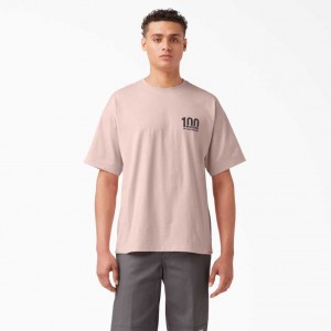 Dickies 100 Year Milestone Grafická T-Shirt Peach Whip | CZ0000929