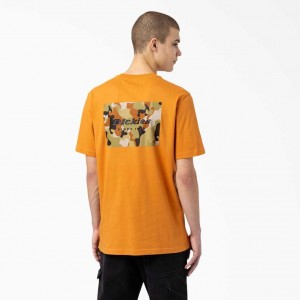 Dickies Artondale Grafická T-Shirt Golden Glow | CZ0000780