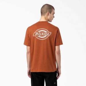 Dickies Back Logo Grafická T-Shirt Hnědé | CZ0000776