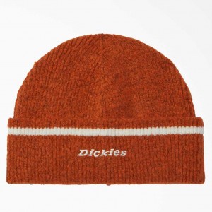 Dickies Chalkville Beanie Hnědé | CZ0002034