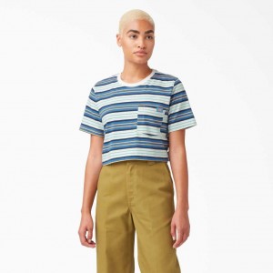 Dickies Cropped Pruhovaný T-Shirt Cobalt Stripe | CZ0002177