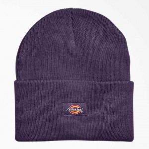 Dickies Cuffed Knit Beanie Fialové | CZ0002029