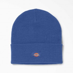 Dickies Cuffed Knit Beanie Královská Modrá Blankyt | CZ0002085