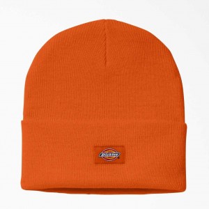 Dickies Cuffed Knit Beanie Oranžové | CZ0002075