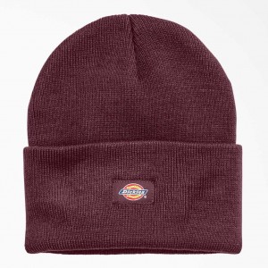 Dickies Cuffed Knit Beanie Vínové | CZ0001997