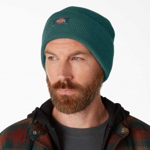 Dickies Cuffed Knit Beanie Zelene | CZ0002057