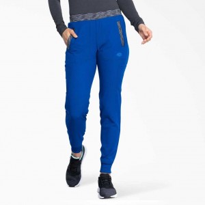 Dickies Dynamix Jogger Scrub Pants Královská Modrá Blankyt | CZ0001428