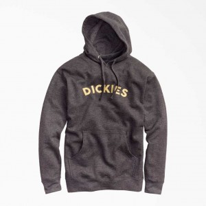 Dickies Fleece Block Logo Hoodie Charcoal Gray Heather | CZ0001859