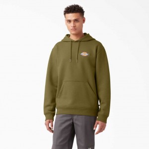 Dickies Fleece Embroidered Chest Logo Hoodie Regular | CZ0001929