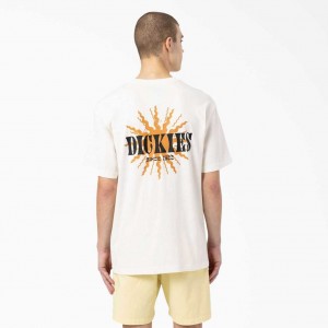 Dickies Kelso Grafická T-Shirt Béžový | CZ0000904