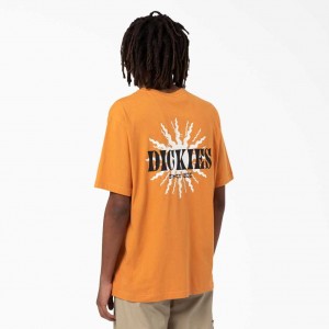 Dickies Kelso Grafická T-Shirt Golden Glow | CZ0000781