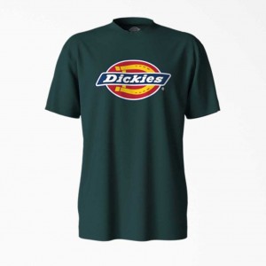 Dickies Krátké Sleeve Tri-Color Logo Grafická T-Shirt Zelene | CZ0000769