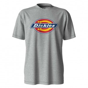 Dickies Krátké Sleeve Tri-Color Logo Grafická T-Shirt Heather Gray | CZ0000808