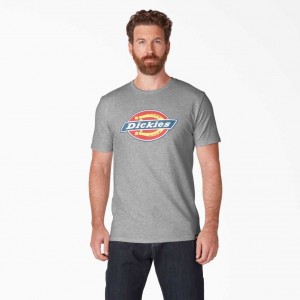 Dickies Logo Grafická T-Shirt Ash Gray | CZ0000480