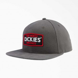 Dickies Logo Patch Byty Bill Cap Slate Gray | CZ0002087