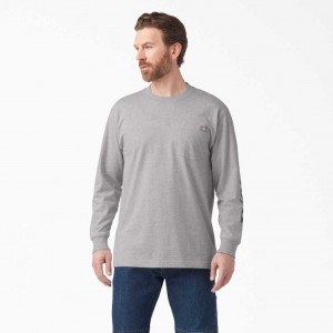 Dickies Long Sleeve Logo Grafická T-Shirt Heather Gray | CZ0000812