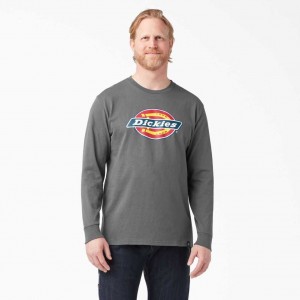 Dickies Long Sleeve Regular Fit Icon Grafická T-Shirt Stone Gray | CZ0000952