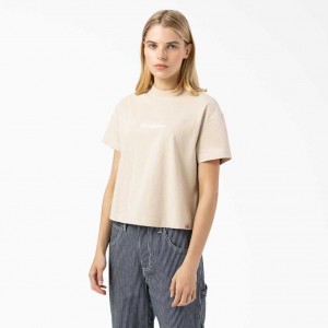 Dickies Loretto Cropped T-Shirt Tan | CZ0002186