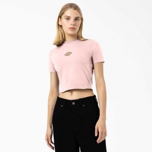 Dickies Maple Valley Cropped T-Shirt Růžové | CZ0002185