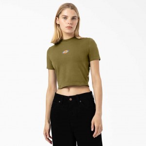 Dickies Maple Valley Cropped T-Shirt Zelene | CZ0002182