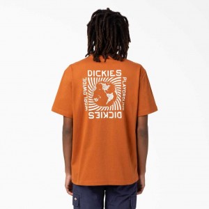 Dickies Marbury Krátké Sleeve T-Shirt Hnědé | CZ0000777