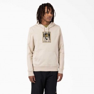 Dickies Pacific Embroidered Grafická Hoodie Cement | CZ0001857