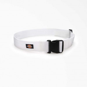 Dickies Painter's Heavy-Duty Pracovní Belt, 2" Bílé | CZ0000462