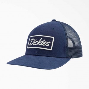 Dickies Patch Logo Trucker Cap Tmavě Blankyt | CZ0002049