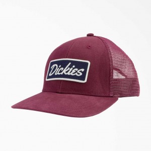 Dickies Patch Logo Trucker Cap Vínové | CZ0002063