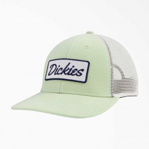 Dickies Patch Logo Trucker Cap Zelene | CZ0002000