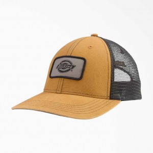 Dickies Platene Trucker Cap Hnědé | CZ0001992