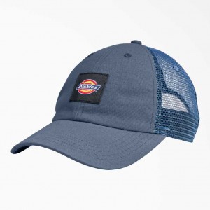 Dickies Platene Trucker Hat Blankyt | CZ0002091