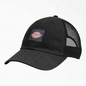 Dickies Platene Trucker Hat Černé | CZ0001974