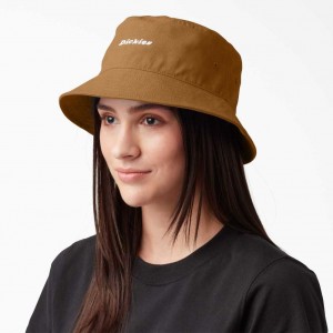 Dickies Script Logo Platene Bucket Hat Hnědé | CZ0001991