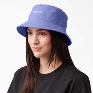 Dickies Script Logo Platene Bucket Hat Jacaranda | CZ0002053