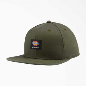 Dickies Skateboarding Byty Bill Cap Olivy Zelené Zelene | CZ0002081