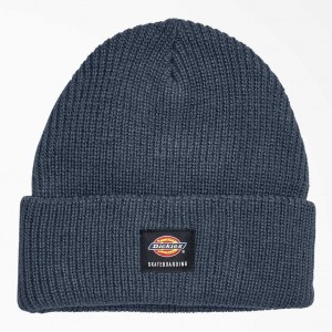 Dickies Skateboarding Cuffed Beanie Blankyt | CZ0001964