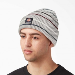 Dickies Skateboarding Cuffed Beanie Heather Gray Stripe | CZ0002045