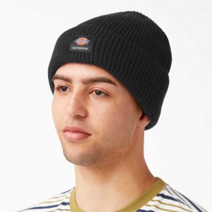 Dickies Skateboarding Cuffed Beanie Černé | CZ0001980