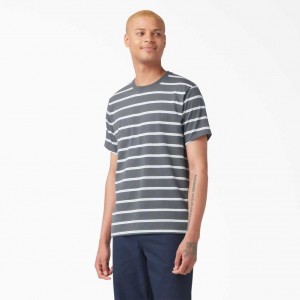 Dickies Skateboarding Pruhovaný T-Shirt Charcoal Mini Stripe | CZ0000664