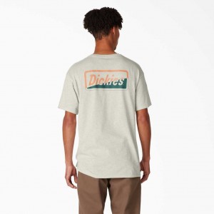 Dickies Skateboarding Split Grafická T-Shirt Oatmeal Heather | CZ0000914