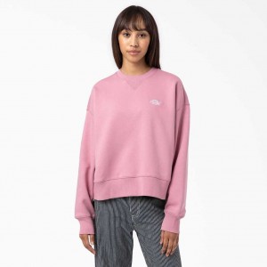 Dickies Summerdale Sweatshirt Foxglove | CZ0001044