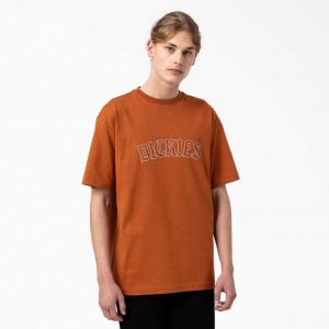 Dickies Union Springs Krátké Sleeve T-Shirt Hnědé | CZ0000778