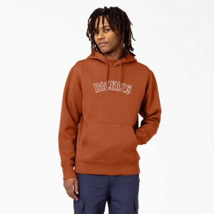 Dickies Union Springs Logo Hoodie Regular | CZ0001938