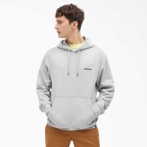 Dickies Uniontown Hoodie Regular | CZ0001940