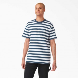 Dickies Vincent Alvarez Pruhovaný T-Shirt Blankyt | CZ0000474