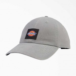 Dickies Washed Platene Cap Gray | CZ0002042