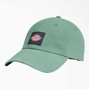 Dickies Washed Platene Cap Tmavě | CZ0002015