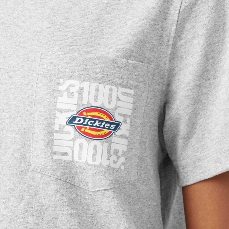 Dickies 100 Year Grafická T-Shirt Heather Gray | CZ0000829