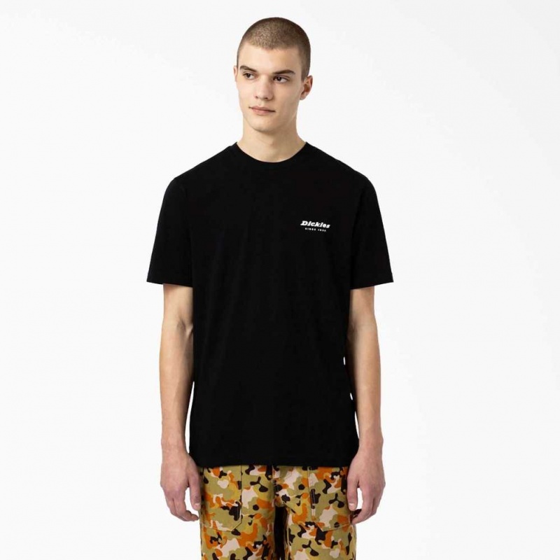 Dickies Artondale Grafická T-Shirt Černé | CZ0000521